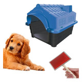 Kit Casa Cachorro N4 Azul E Rasqueadeira Removedor Tira Pelo
