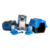 Kit Casa Caminha Sanitario Cachorro Completo Luxo M Cor Azul