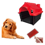 Kit Casinha Cachorro N3 E Rasqueadeira