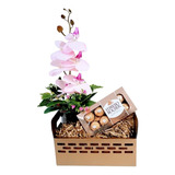 Kit Cesta Orquídeas Artificiais + Chocolates Para Presente