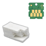 Kit Chip E Almofada Esponja Epson C9345 C7000 L8180 L8050
