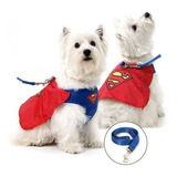 Kit Coleira + Guia Superman Com Capa Oficial Dc Comics P