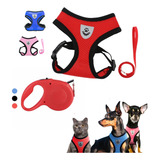 Kit Coleira Peitoral Cachorro Gato Guia Retrátil Pet 5 Metro