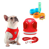 Kit Coleira Peitoral Pet Refletiva Com Guia P - 8kg + Brinde