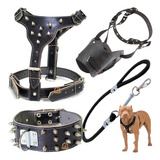 Kit Coleira Peitoral Pitbull Couro Guia E Focinheira Muzz