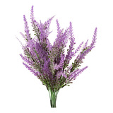 Kit Com 10 Lindas Mudas De Lavanda Bem Formada A+ P/ Jardins