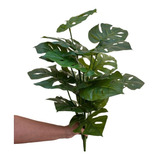 Decoração