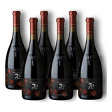 Kit Com 6 Vinhos Pilandro Merlot Settantanni 750ml