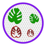 Cm
