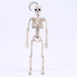 Kit De 10 Esqueleto 40cm Decoração