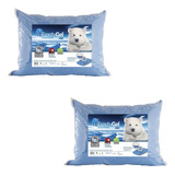 Kit De 2 Travesseiros Frostygel -