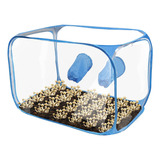 Kit De Barraca De Cultivo De Cogumelos Still Air Box Pop Up