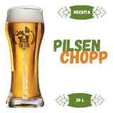 Kit De Insumos Receita Cerveja Pilsen Ale - Chopp 30 Litros