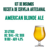 Kit De Insumos Receita De Cerveja Artesanal Blonde Ale - 30l