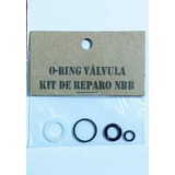 Kit De Reparo Oring Pistola Pt