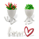 Kit Decoração Criativa Sala Cozinha - Vasos + Plantas + Amor