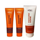 Kit Dizzarm Hoka Manutenção Pós Escova Progressiva 3 Ítens