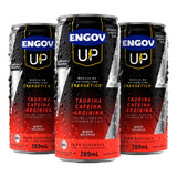 Kit Energético Engov Up Melancia 03 Unidades 269ml