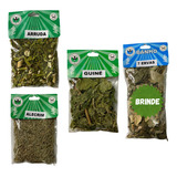 Kit Ervas Arruda Alecrim Guiné Ervas Para Banho E Defumação
