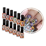 Kit Esmaltes Para Carimbo Unhas Apipila 12 Cores +02 Brindes