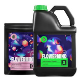 Kit Fertilizante Flowermind Nutrição G 5 Litros + 625g Grow