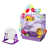 Hamster
