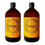 Kit Gin London Dry Apogee Citrus 40%vol Piracaia 2 Un.