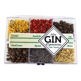 Kit Gin Tônica 06 Especiarias Pocket - Exótico