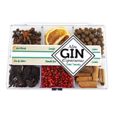 Kit Gin Tônica 06 Especiarias