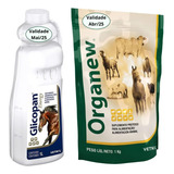 Kit Glicopan Energy 1 Litro E Organew 1kg Suplemento Cavalos