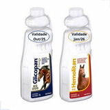 Kit Glicopan Energy E Hemolitan 1 Litro Suplemento Vitamina