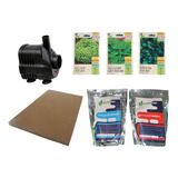 Kit Hidroponia Iniciante/nutriente Espuma Sementes Bomba110v
