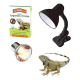 Kit Iguana Ração Luminaria Com Lampada