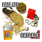 Kit Insumos (receita) Cerveja Artesanal Pale