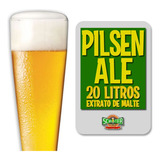 Kit Insumos Para Cerveja Artesanal - 20 Litros