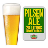 Kit Insumos Para Cerveja Artesanal - Pilsen Ale - 20 Litros