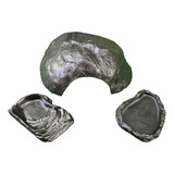 Kit Jabuti Filhote Preto, Kit-003, Artexotics