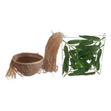 Kit Lino Ninhos Trinca Ferro, Ninho Taça+raiz+protetor 