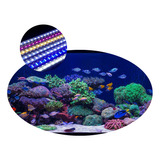 Kit Luminária 40cm Barra Tubo Led Iluminação Aquário Peixes