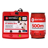 500mts