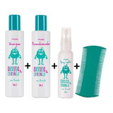 Kit Mata Piolho Lêndeas Abelha Rainha Com Arruda E Citronela