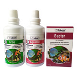 Bacter