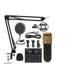Kit Microfone Condensador Bm800 + Placa De Som Interface V8
