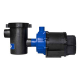 Kit Motobomba Pré-filtro 1cv 220v Syllent + Peneira Plástica