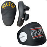 Pulser
