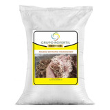 Kit Musgo - Esfagno - Sfagno - Sphagnum Seco 05 Litros