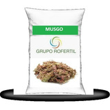Kit Musgo - Esfagno - Sfagno - Sphagnum Seco Substrato - 1kg