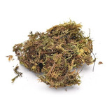 Kit Musgo Esfagno Sfagno Sphagnum Seco - Orquídeas 6kg
