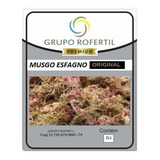 Kit Musgo Esfagno Sfagno Sphagnum Seco Orquídeas 02 Litros
