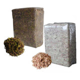 Kit Musgo Para Kokedama (musgo Sphagnum + Musgo Verde)